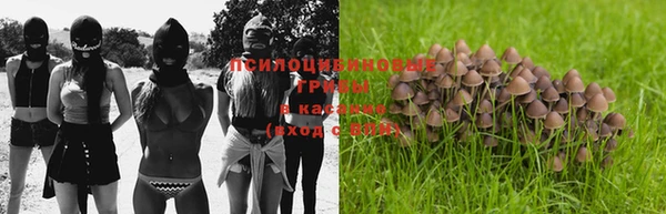 ешки Волосово