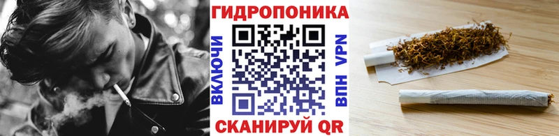 Канабис Bruce Banner  ссылка на мегу маркетплейс  Холмск 
